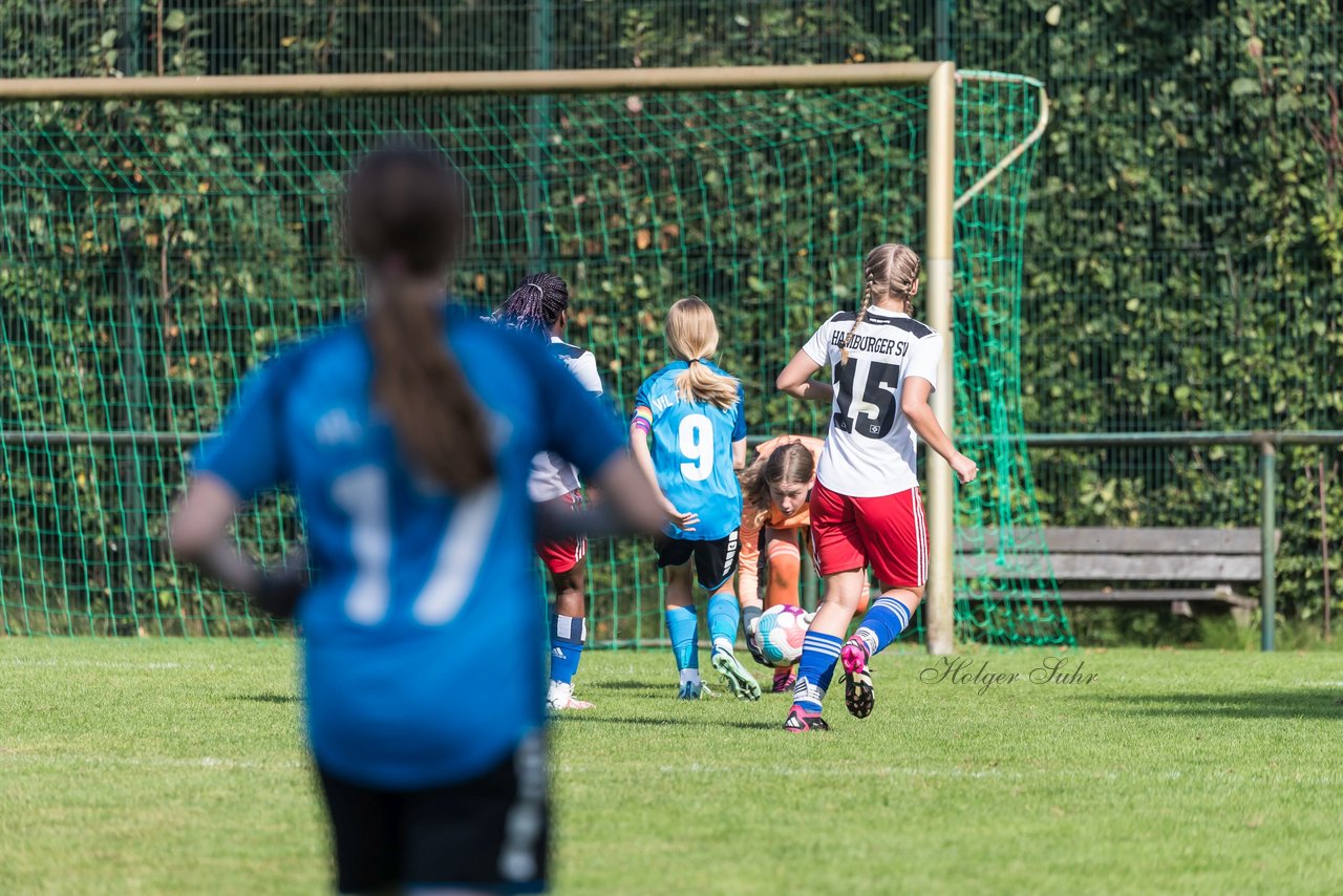 Bild 83 - wBJ VfL Pinneberg - Hamburger SV 2 : Ergebnis: 1:3